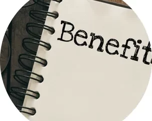 Should Surrogates Receive Government Benefits While Participating in a Journey