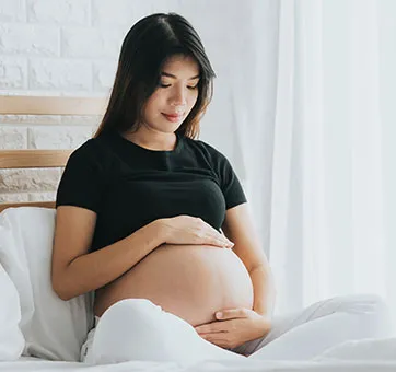 Surrogacy / Assisted Reproduction Law